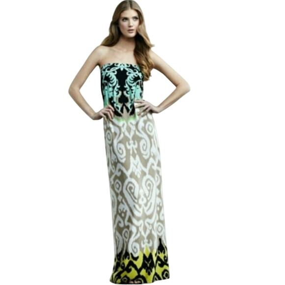 Tibi Jasmine Ikat Print Strapless Maxi Dress - Resort Chic | Size Medium - Picture 3 of 6